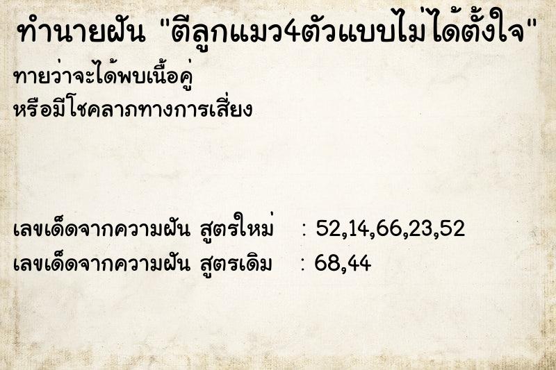 ทำนายฝัน ตีลูกแมว4ตัวแบบไม่ได้ตั้งใจ ทำนายฝัน ตีลูกแมว4ตัวแบบไม่ได้ตั้งใจ