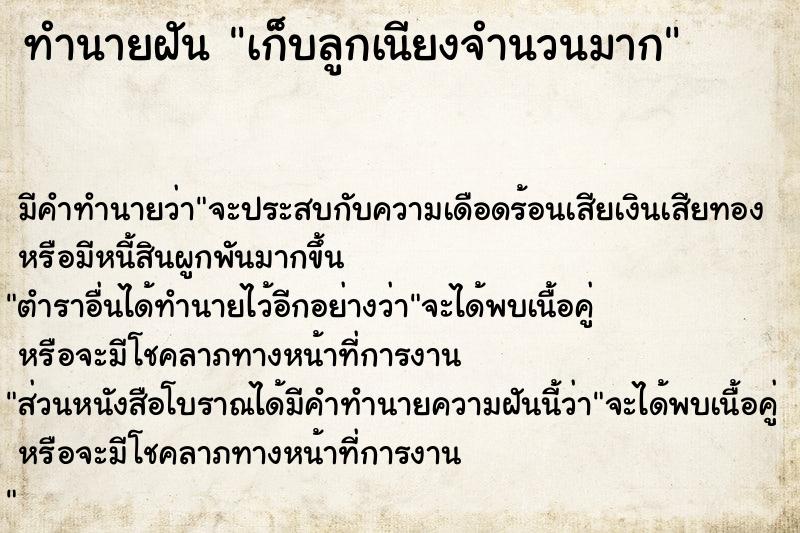 ทำนายฝันทำนายฝันเก็บลูกเนียงจำนวนมาก