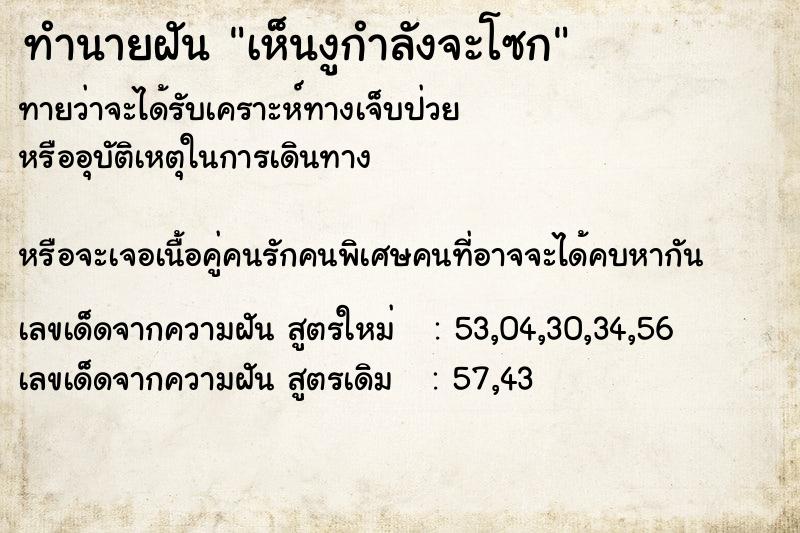 ทำนายฝันเห็นงูกำลังจะโซก ทำนายฝันทำนายฝันเห็นงูกำลังจะโซก