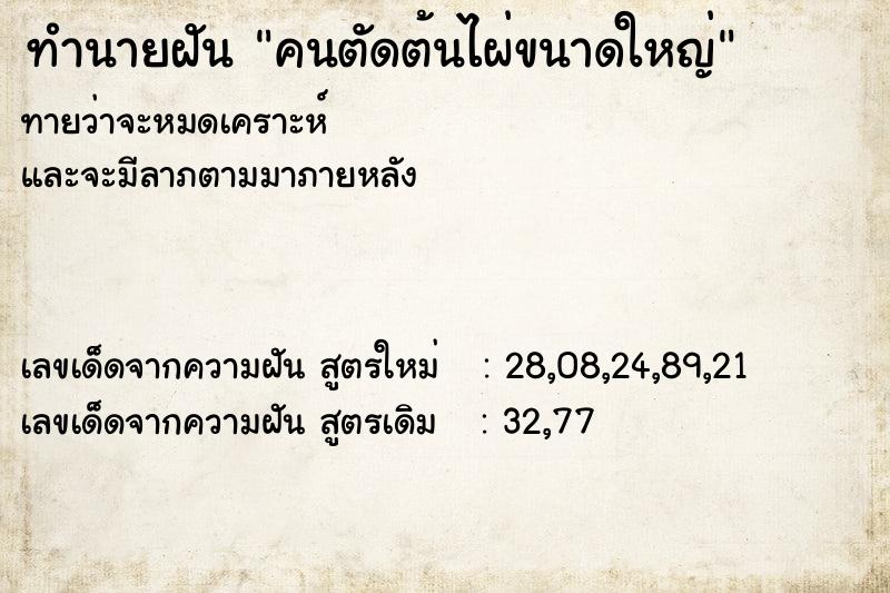ทำนายฝันคนตัดต้นไผ่ขนาดใหญ่ ทำนายฝันทำนายฝันคนตัดต้นไผ่ขนาดใหญ่