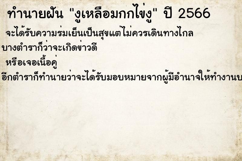 ทำนายฝันงูเหลือมกกไข่งู ทำนายฝันทำนายฝันงูเหลือมกกไข่งู