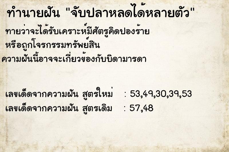 ทำนายฝันจับปลาหลดได้หลายตัว ทำนายฝันทำนายฝันจับปลาหลดได้หลายตัว