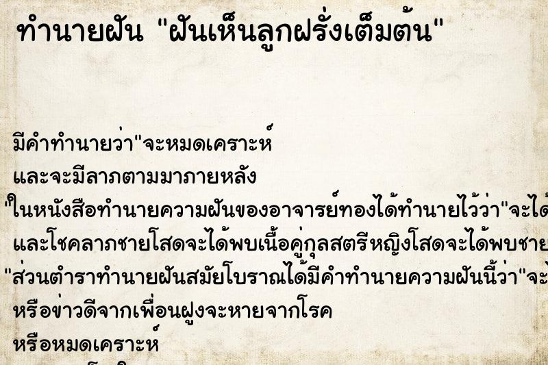 ทำนายฝัน ฝันเห็นลูกฝรั่งเต็มต้น ทำนายฝัน ฝันเห็นลูกฝรั่งเต็มต้น