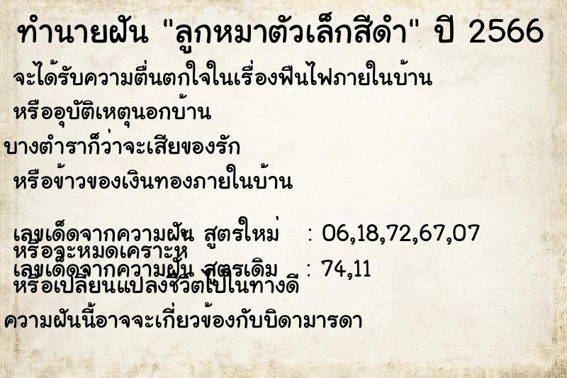 ทำนายฝันทำนายฝันลูกหมาตัวเล็กสีดำ