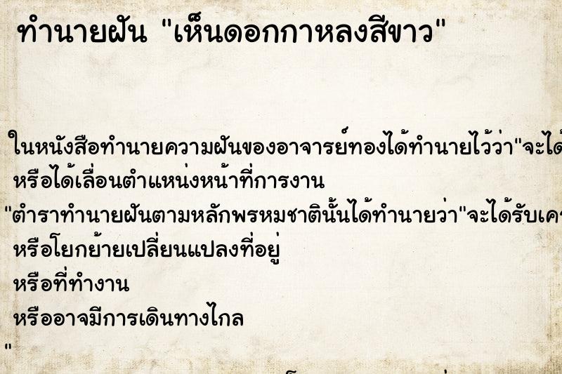 ทำนายฝัน เห็นดอกกาหลงสีขาว ทำนายฝัน เห็นดอกกาหลงสีขาว