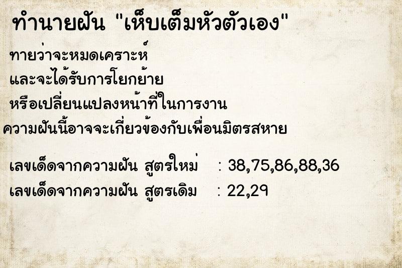 ทำนายฝัน เห็บเต็มหัวตัวเอง ทำนายฝัน เห็บเต็มหัวตัวเอง