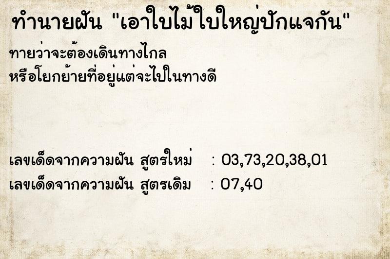 ทำนายฝันทำนายฝันเอาใบไม้ใบใหญ่ปักแจกัน