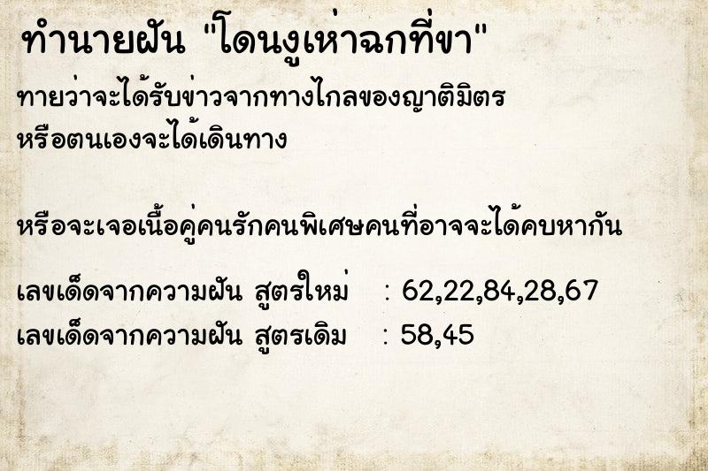 ทำนายฝันทำนายฝันโดนงูเห่าฉกที่ขา