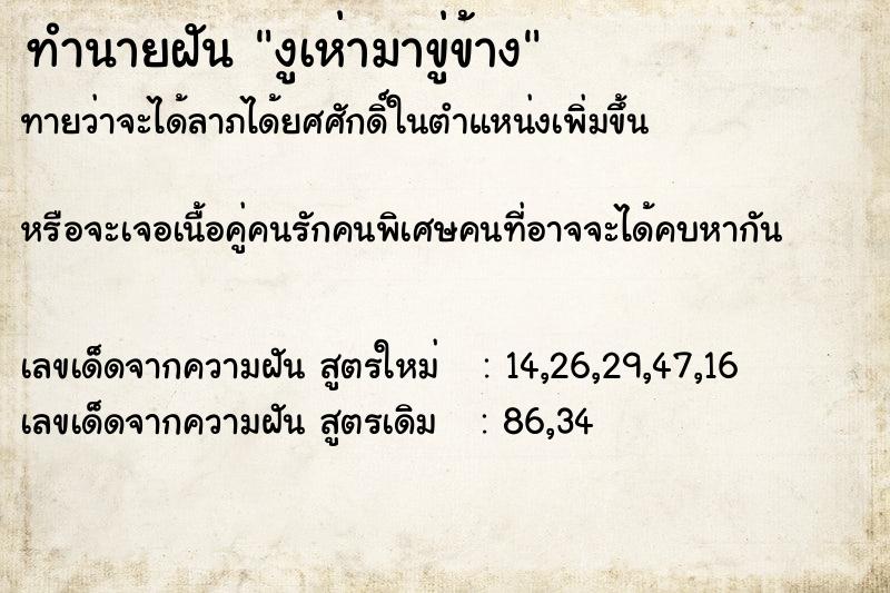 ทำนายฝันงูเห่ามาขู่ข้าง ทำนายฝันทำนายฝันงูเห่ามาขู่ข้าง