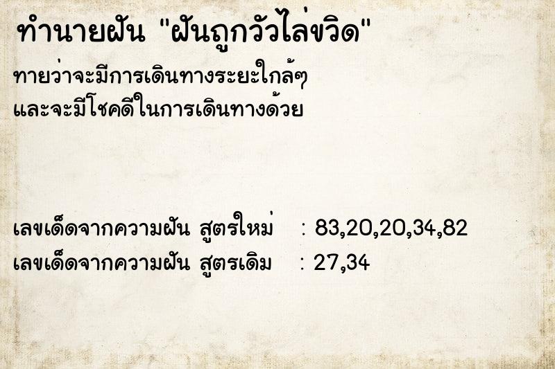 ทำนายฝันฝันถูกวัวไล่ขวิด ทำนายฝันทำนายฝันฝันถูกวัวไล่ขวิด