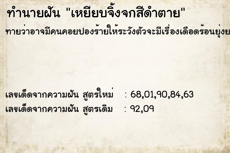 ทำนายฝันเหยียบจิ้งจกสีดำตาย ทำนายฝันทำนายฝันเหยียบจิ้งจกสีดำตาย