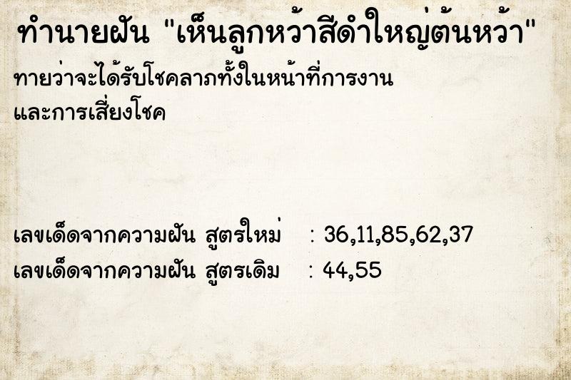 ทำนายฝันทำนายฝันเห็นลูกหว้าสีดำใหญ่ต้นหว้า
