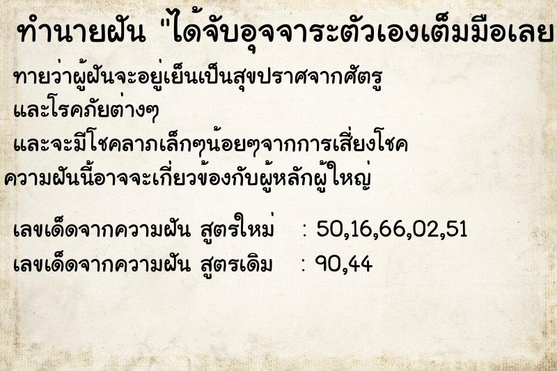 ทำนายฝันทำนายฝันได้จับอุจจาระตัวเองเต็มมือเลย