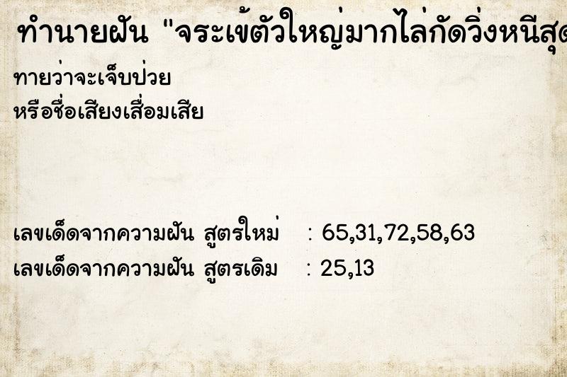 ทำนายฝันจระเข้ตัวใหญ่มากไล่กัดวิ่งหนีสุดชีวิต ทำนายฝันทำนายฝันจระเข้ตัวใหญ่มากไล่กัดวิ่งหนีสุดชีวิต