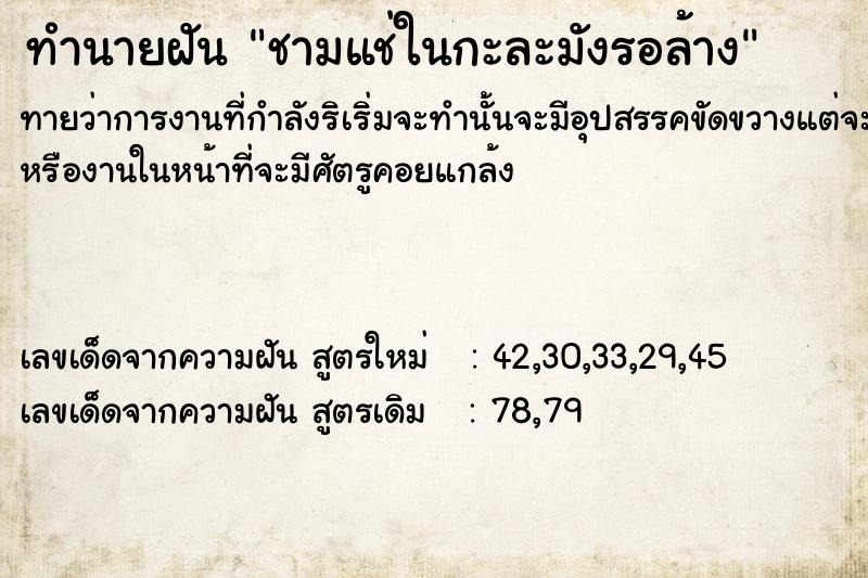 ทำนายฝันชามแช่ในกะละมังรอล้าง ทำนายฝันทำนายฝันชามแช่ในกะละมังรอล้าง