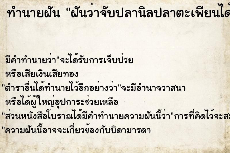 ทำนายฝันฝันว่าจับปลานิลปลาตะเพียนได้เต็มถัง ทำนายฝันทำนายฝันฝันว่าจับปลานิลปลาตะเพียนได้เต็มถัง