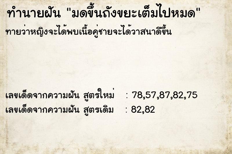 ทำนายฝันมดขึ้นถังขยะเต็มไปหมด ทำนายฝันทำนายฝันมดขึ้นถังขยะเต็มไปหมด