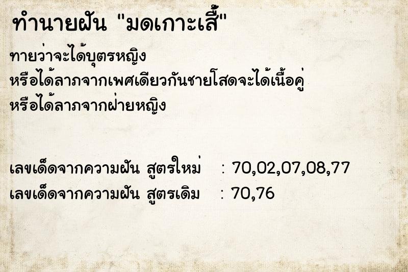 ทำนายฝันทำนายฝันมดเกาะเสื่้
