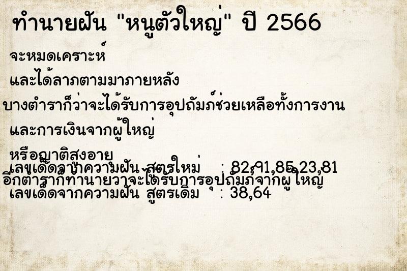 ทำนายฝัน หนูตัวใหญ่ ทำนายฝัน หนูตัวใหญ่