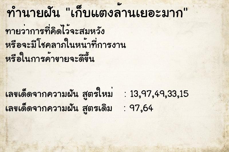 ทำนายฝันเก็บแตงล้านเยอะมาก ทำนายฝันทำนายฝันเก็บแตงล้านเยอะมาก
