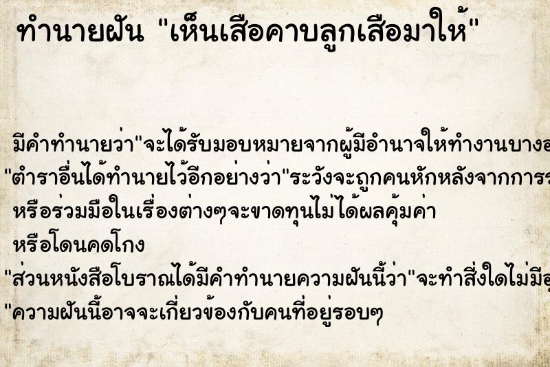ทำนายฝันเห็นเสือคาบลูกเสือมาให้ ทำนายฝันทำนายฝันเห็นเสือคาบลูกเสือมาให้