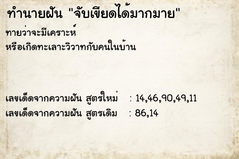 ทำนายฝันจับเขียดได้มากมาย ทำนายฝันทำนายฝันจับเขียดได้มากมาย
