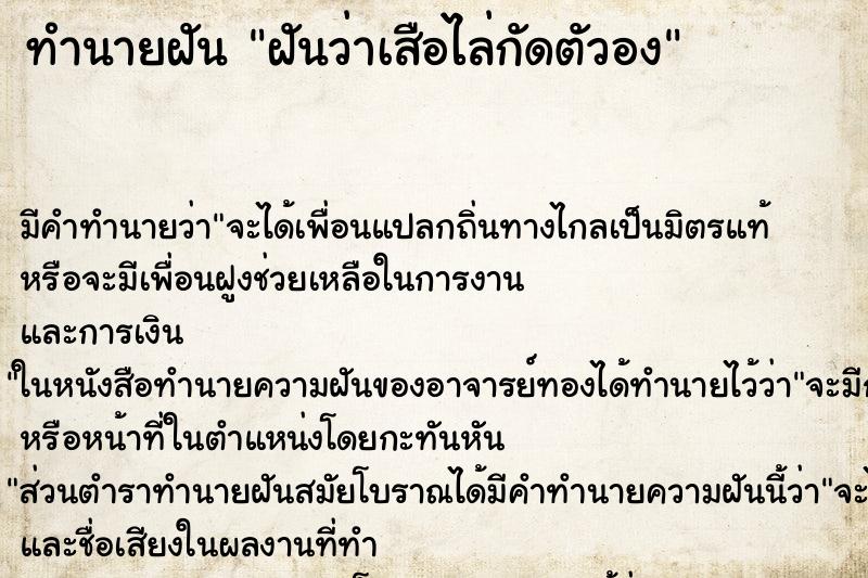 ทำนายฝัน ฝันว่าเสือไล่กัดตัวอง ทำนายฝัน ฝันว่าเสือไล่กัดตัวอง