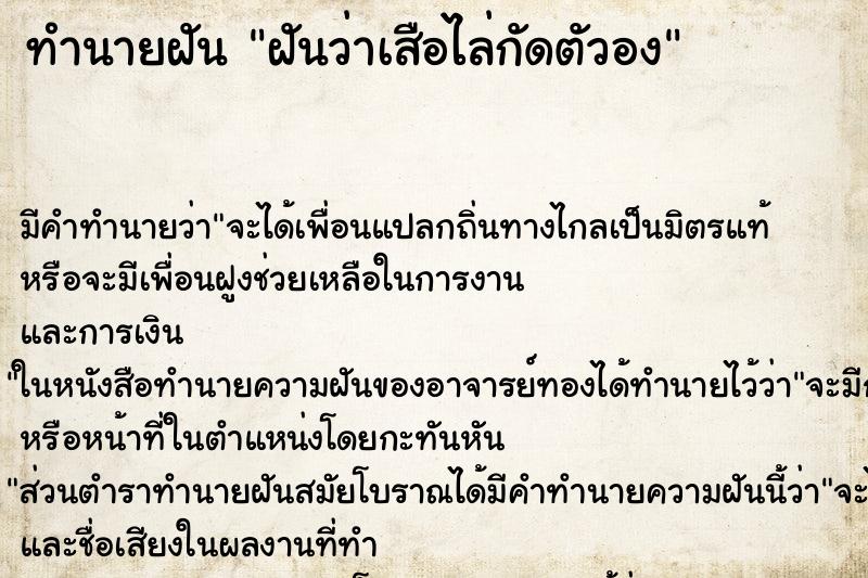 ทำนายฝัน ฝันว่าเสือไล่กัดตัวอง ตำราโบราณ แม่นที่สุดในโลก