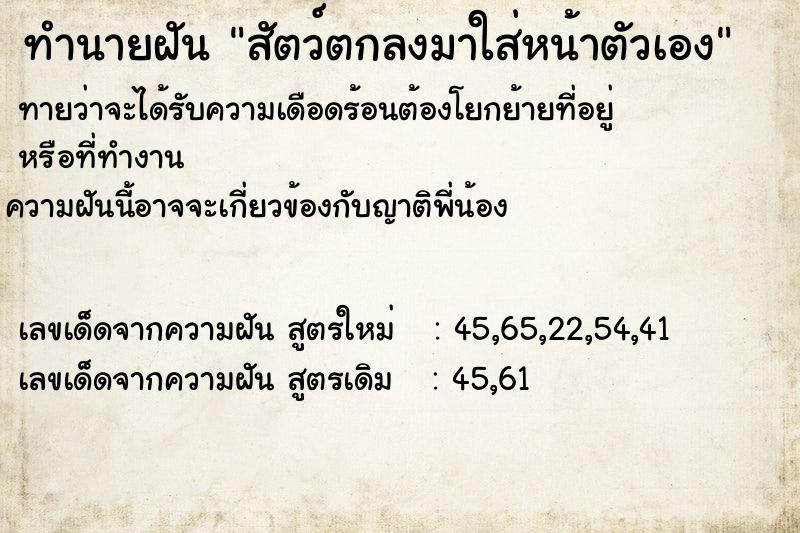 ทำนายฝันทำนายฝันสัตว์ตกลงมาใส่หน้าตัวเอง