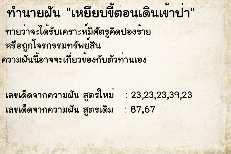 ทำนายฝัน เหยียบขี้ตอนเดินเข้าป่า ทำนายฝัน เหยียบขี้ตอนเดินเข้าป่า