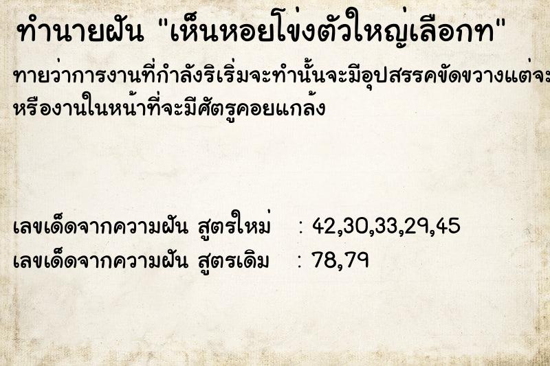 ทำนายฝันทำนายฝันเห็นหอยโข่งตัวใหญ่เลือกท