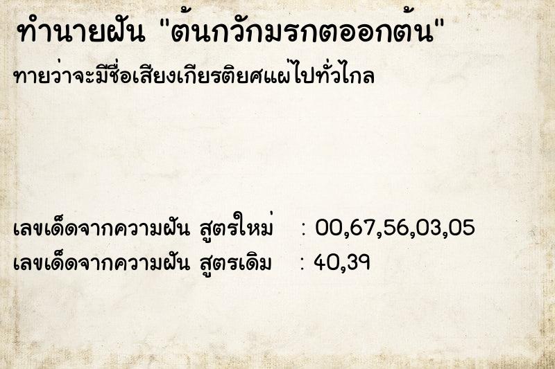 ทำนายฝัน ต้นกวักมรกตออกต้น