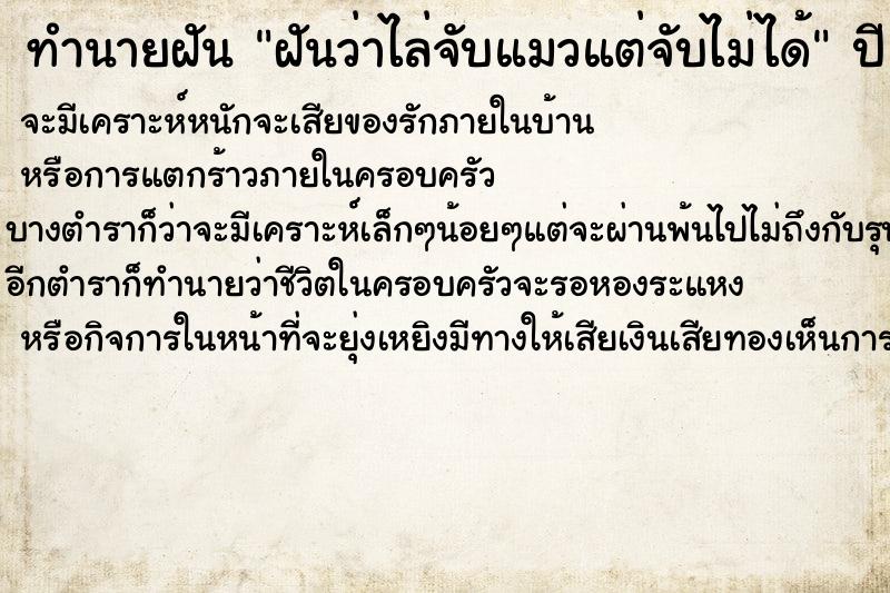 ทำนายฝัน ฝันว่าไล่จับแมวแต่จับไม่ได้ ทำนายฝัน ฝันว่าไล่จับแมวแต่จับไม่ได้