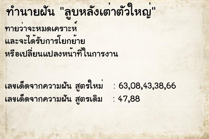 ทำนายฝันทำนายฝันลูบหลังเต่าตัวใหญ่