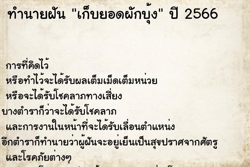 ทำนายฝัน เก็บยอดผักบุ้ง ทำนายฝัน เก็บยอดผักบุ้ง