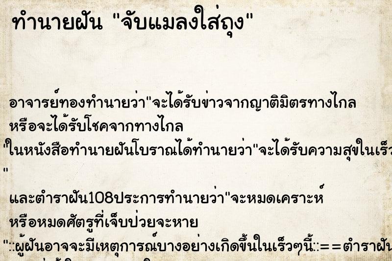 ทำนายฝัน จับแมลงใส่ถุง