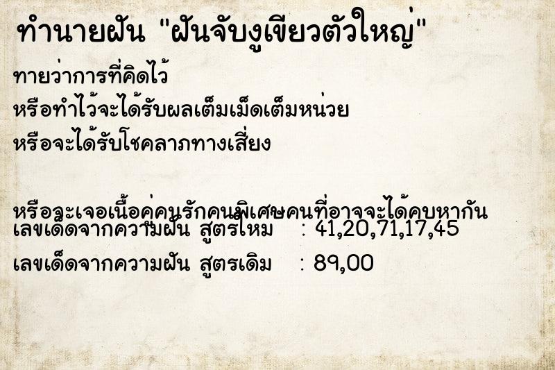 ทำนายฝันฝันจับงูเขียวตัวใหญ่ ทำนายฝันทำนายฝันฝันจับงูเขียวตัวใหญ่