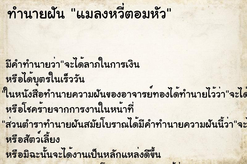 ทำนายฝัน แมลงหวี่ตอมหัว ตำราโบราณ แม่นที่สุดในโลก