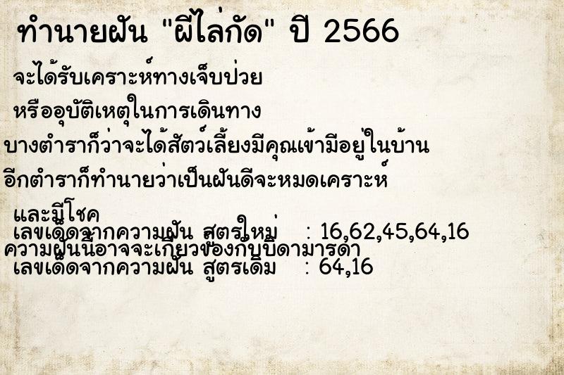 ทำนายฝัน ผีไล่กัด ทำนายฝัน ผีไล่กัด