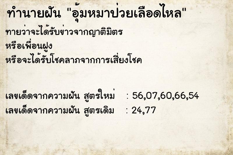 ทำนายฝัน อุ้มหมาป่วยเลือดไหล ทำนายฝัน อุ้มหมาป่วยเลือดไหล