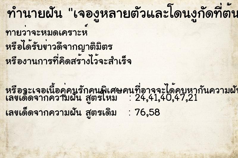 ทำนายฝันทำนายฝันเจองูหลายตัวและโดนงูกัดที่ต้นขา