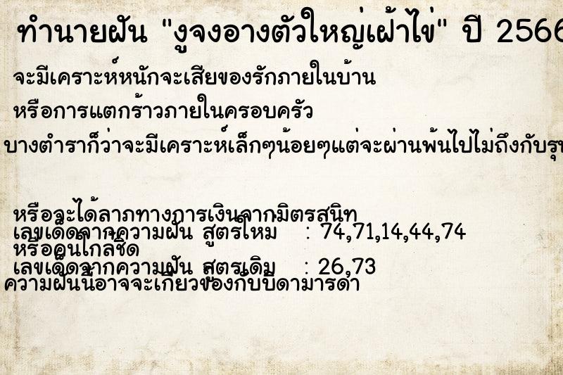 ทำนายฝันทำนายฝันงูจงอางตัวใหญ่เฝ้าไข่