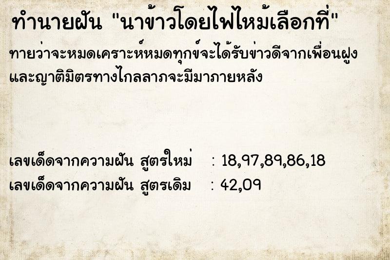 ทำนายฝันทำนายฝันนาข้าวโดยไฟไหม้เลือกที่
