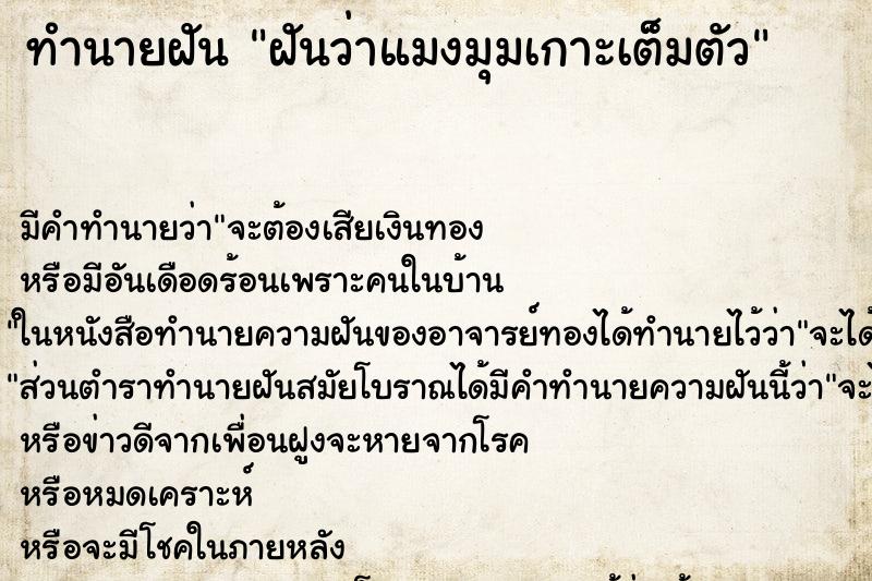 ทำนายฝันฝันว่าแมงมุมเกาะเต็มตัว ทำนายฝันทำนายฝันฝันว่าแมงมุมเกาะเต็มตัว