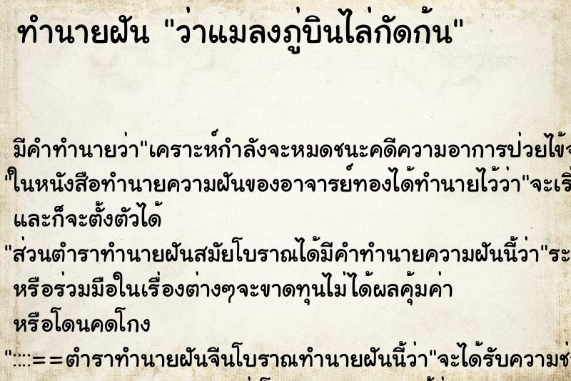 ทำนายฝันทำนายฝันว่าแมลงภู่บินไล่กัดก้น
