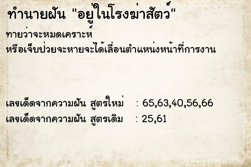 ทำนายฝันทำนายฝันอยู่ในโรงฆ่าสัตว์