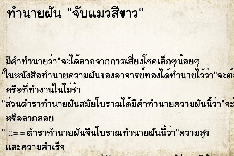ทำนายฝัน จับแมวสีขาว ทำนายฝัน จับแมวสีขาว