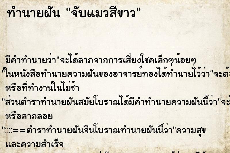 ทำนายฝัน จับแมวสีขาว ตำราโบราณ แม่นที่สุดในโลก