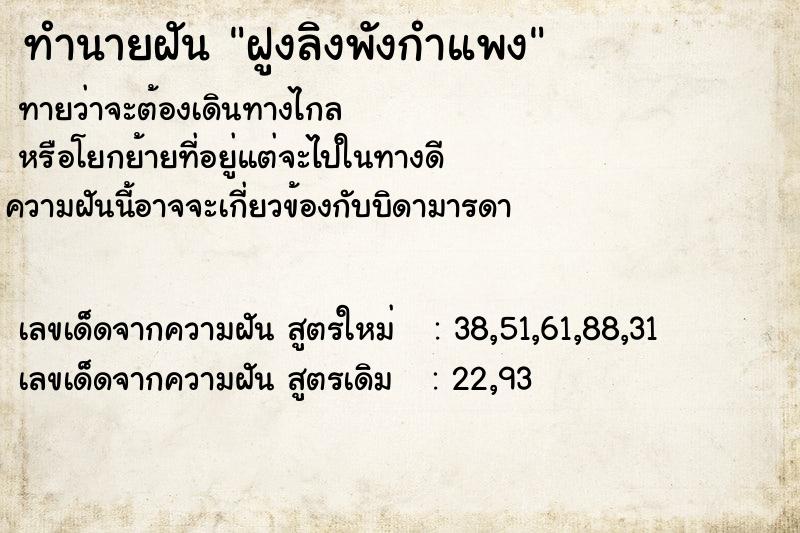 ทำนายฝันฝูงลิงพังกำแพง ทำนายฝันทำนายฝันฝูงลิงพังกำแพง