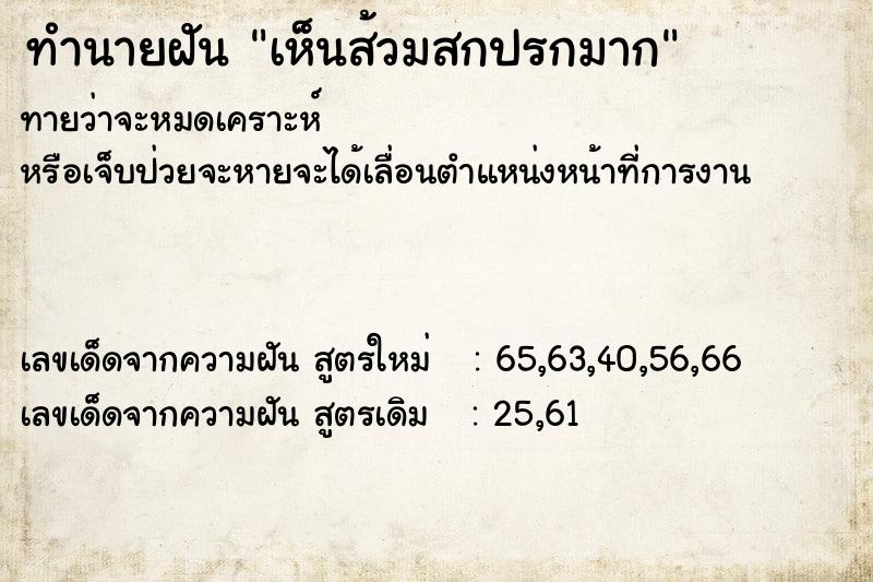 ทำนายฝันเห็นส้วมสกปรกมาก ทำนายฝันทำนายฝันเห็นส้วมสกปรกมาก